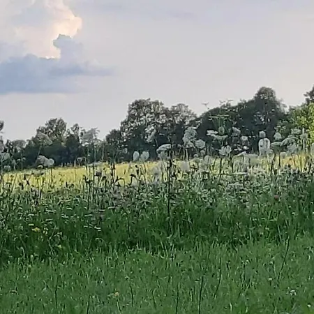 Haus Steirer Am Kaiserwald
