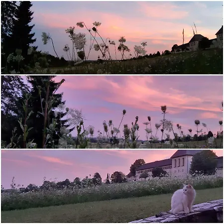 Haus Steirer Am Kaiserwald Unterpremstätten
