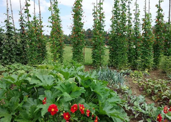 Haus Steirer Am Kaiserwald Unterpremstaetten