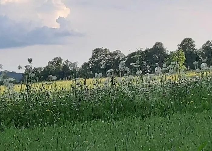 Haus Steirer Am Kaiserwald